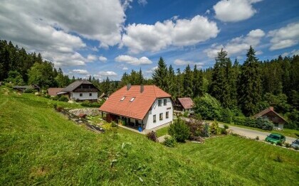 Chata Apartmány Vltavice