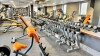 Fitness, Parkhotel Plzeň ****