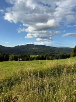 Okolie, Chata Olívia, Bučina, Oravská Lesná, Slovensko