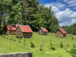 neKemp Štaindlův kopec, Rapšach, Třeboňsko