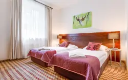 Dvojlôžková izba Standard, Boutique Eco Hotel Sasanka