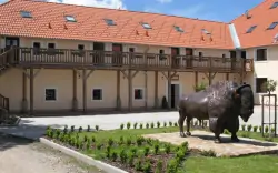 Prírodný park Česká Kanada: Nevšedný pobyt na Bison Ranch Rožnov s raňajkami/polpenziou + víno a občerstvenie