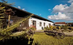 Národný park Šumava: Pobyt v Penzióne Sněžná v štýlových izbách s raňajkami/polpenziou + chladnička a kanvica