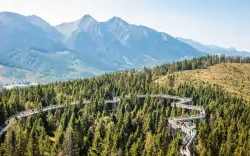 Belianske Tatry pri Chodníku korunami stromov v Penzióne Šilon s raňajkami + zľavy do wellness a dieťa zadarmo