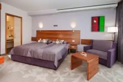 Izby, Hotel Atrij****Superior, Zreče, Slovinsko