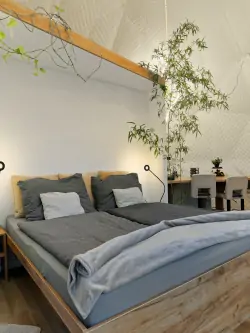 Izba s posteľou, Villa Wisdome, Farád, Maďarsko