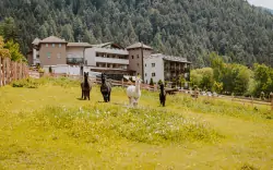 Pobyt pre celú rodinu v Južnom Tirolsku: 4* Hotel Bergschlössl so raňajkami/polpenziou a wellness + miniklub 