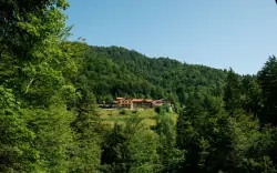BIO Hotel Mauthäusl ***, Schneizlreuth, Nemecko
