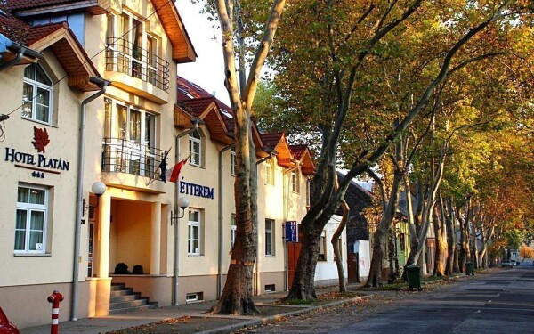 Hotel Platan ***