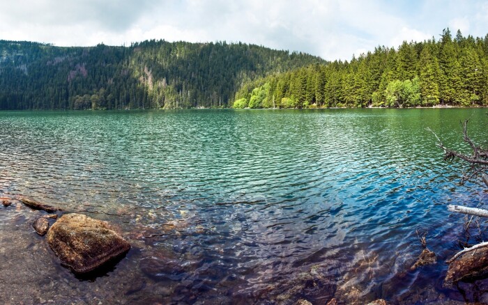 Šumava pri Čiernom a Čertovom jazere v Apartmáne Belvederská až pre 4 osoby + fľaša vína a káva neobmedzene