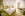Izba Grande, Lotus Therme Hotel & Spa *****