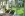 Wellness v Aparthoteli Bellevue **** (3 km) Bad Gastein