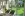 Wellness v Aparthoteli Bellevue **** (3 km) Bad Gastein