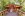Wellness, Robenstein Aktivhotel & SPA ****, Zwiesel