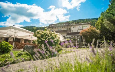 Hotel Haus Lavendel leží kousek od jezera Ossiach