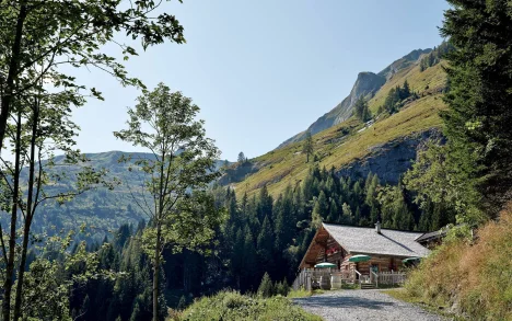 Mooslehenalm by Grossarler Hof, Salzburg, Rakúsko