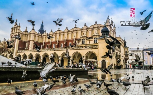 Krakovští holubi jsou jedním ze symbolů tohoto města