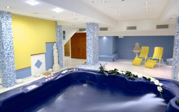 Hotel disponuje moderně zařízeným wellness centrem
