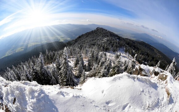 Kolem vás se bude rozprostírat Národní park Šumava