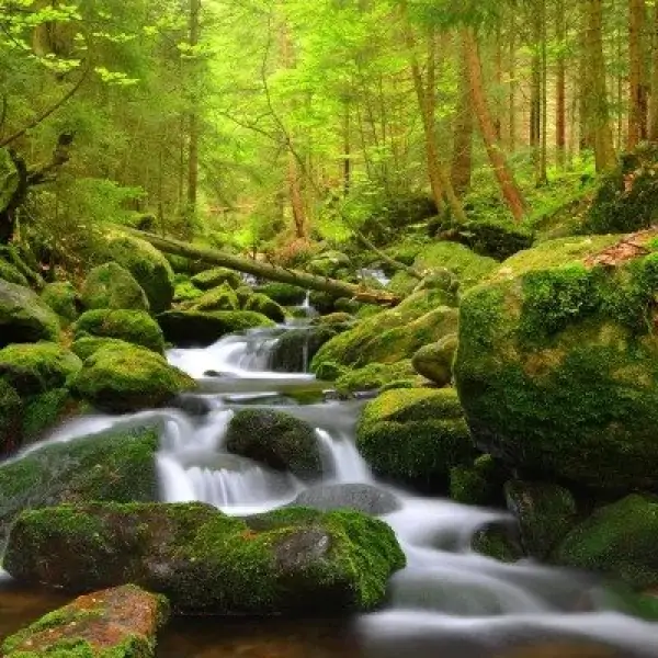 Šumava