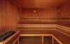 Wellness, Wellness Hotel Říčky ***, Orlické hory