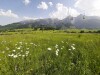 Okolie, Belianske Tatry, Slovensko
