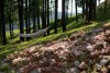 Okolie, Hotel Harnas ***, Bukowina Tatrzańska, Poľské Tatry