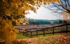 Jesenná konská farma, K-Triumf Resort ****, Velichovky, Velichovky, Česko