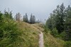 Lesná stezka, miaflor Familien- & Aktivresort ****, Ried im Oberinntal, Rakúsko