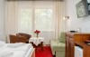 Izby, Hotel Elenka ***, Veľký Meder, Slovensko