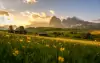 Rakúske Alpy