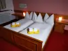 Dvojlôžková izba, Pension Concordia, Ramsau am Dachstein, Alpy, Rakúsko