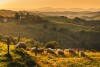 Beskyd Sądecký, Poľsko