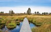 Prírodný park Hautes Fagnes-Eifel