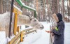 Blízko penziónu nájdete Zoo Dvůr Králové