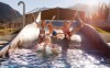 Rodinný bazén, Tauern Spa Hotel & Therme ****, Rakúsko