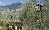 Olivovníky a budova, Hotel Rely ***, Brenzone sul Garda, Taliansko