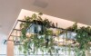 Stropná dekorácia, Villa Nicolli Romantic Resort ****, Riva del Garda (TN), Taliansko