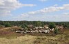 Lüneburské vresovisko