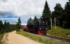 Pohorie Harz, Nemecko