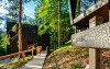 Exteriér, Hotel Fischerwirt Natur.WaldSPA ****, Faistenau, Rakúsko