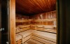 Drevená sauna, Sonnenhotel Bayerischer Hof, Waldmünchen, Nemecko