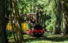 Vláčik v lese, Tiergarten Nürnberg, Norimberg, Nemecko