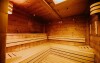 Drevená sauna, Sonnenhotel Hoher Hahn ****, Schwarzenberg, Nemecko