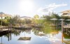 Prírodné kúpalisko, AVITA Therme Bad Tatzmannsdorf, Bad Tatzmannsdorf, Rakúsko