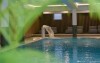 Vnútorný bazén, BERGlässig Hotel Bodenmais ****, Bodenmais, Nemecko