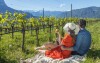 Vinice, Hotel Ansitz Rungghof ****, Eppan an der Weinstraße, Taliansko