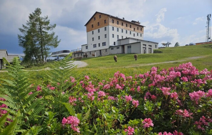 Hotel Tauplitzalm  ***
