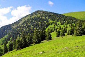 Národný park Veľká Fatra
