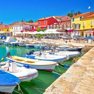 Novigrad